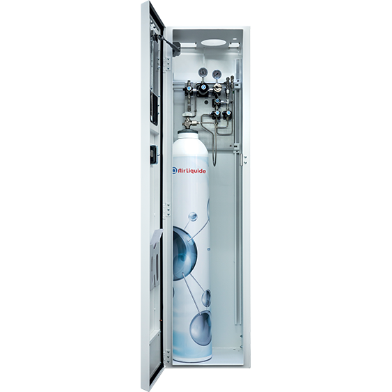 ALIM 2 gas cabinet for specialty and inert gases